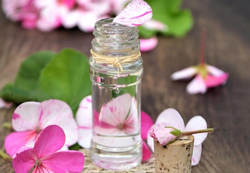 Tinh dầu thơm hoa phong lữ