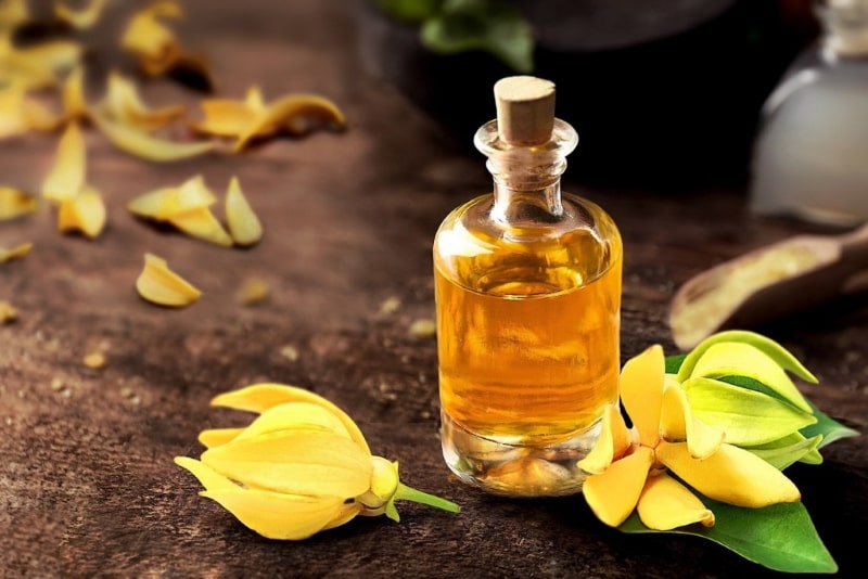 Tinh dầu thơm Ylang